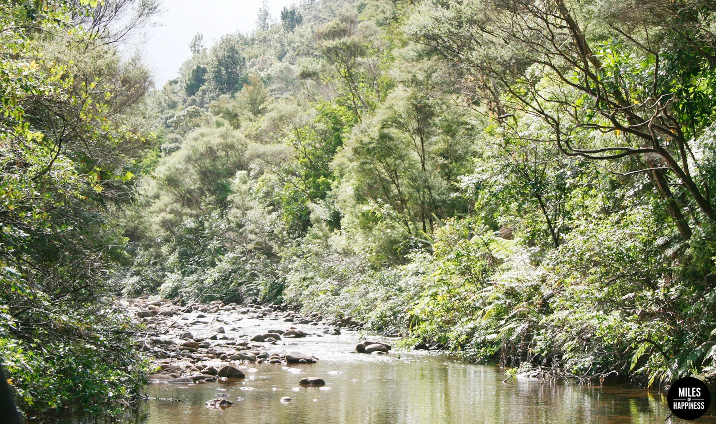 New Zealand: Itinerary of a road trip in the Coromandel Peninsula