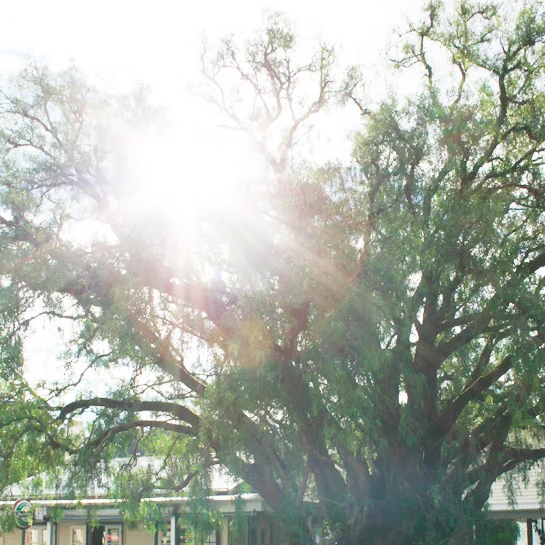 New Zealand: Itinerary of a road trip in the Coromandel Peninsula