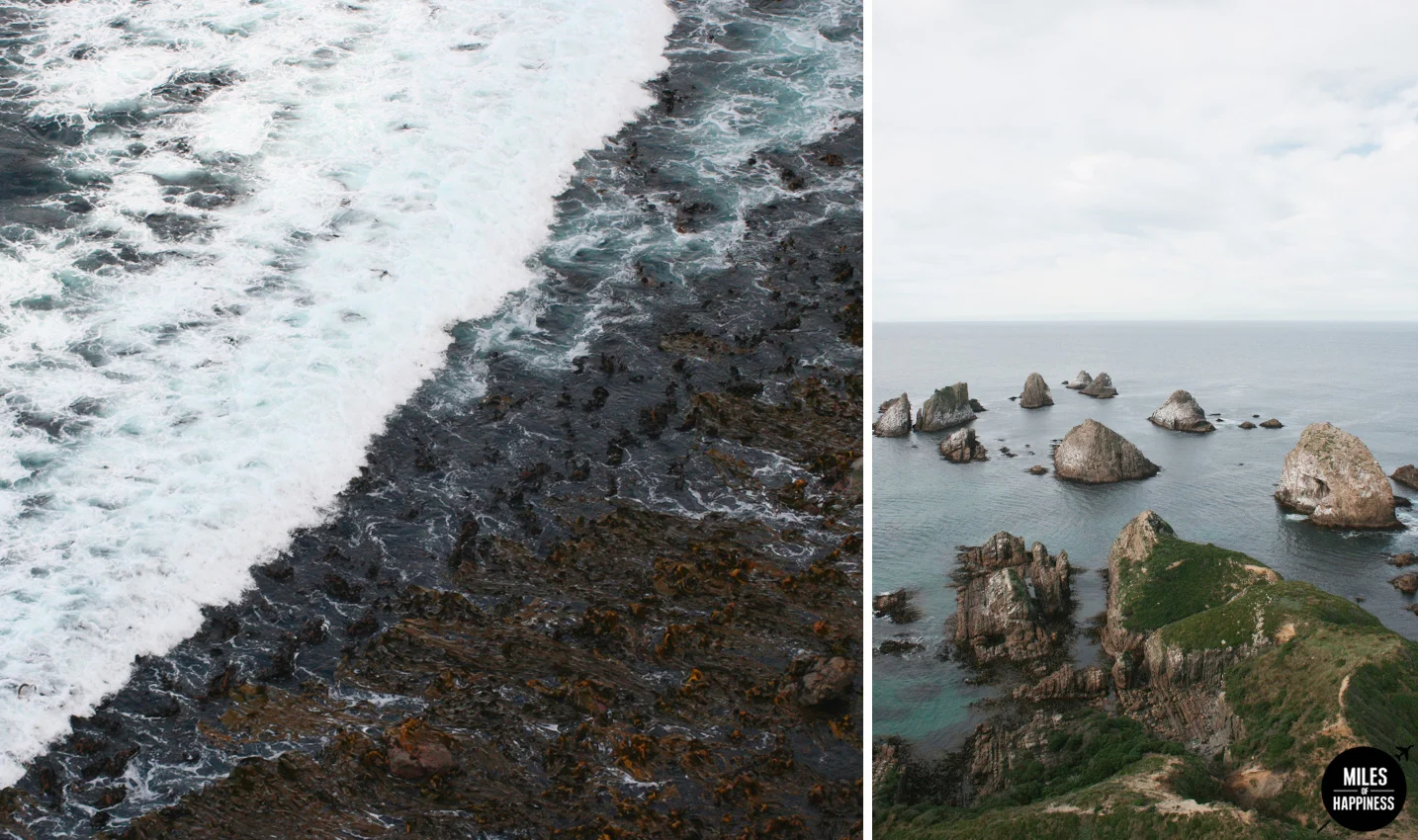 New Zealand : 10 things to do in the Catlins