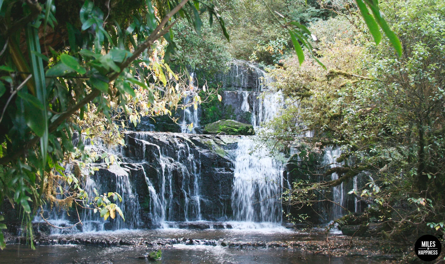 New Zealand : 10 things to do in the Catlins