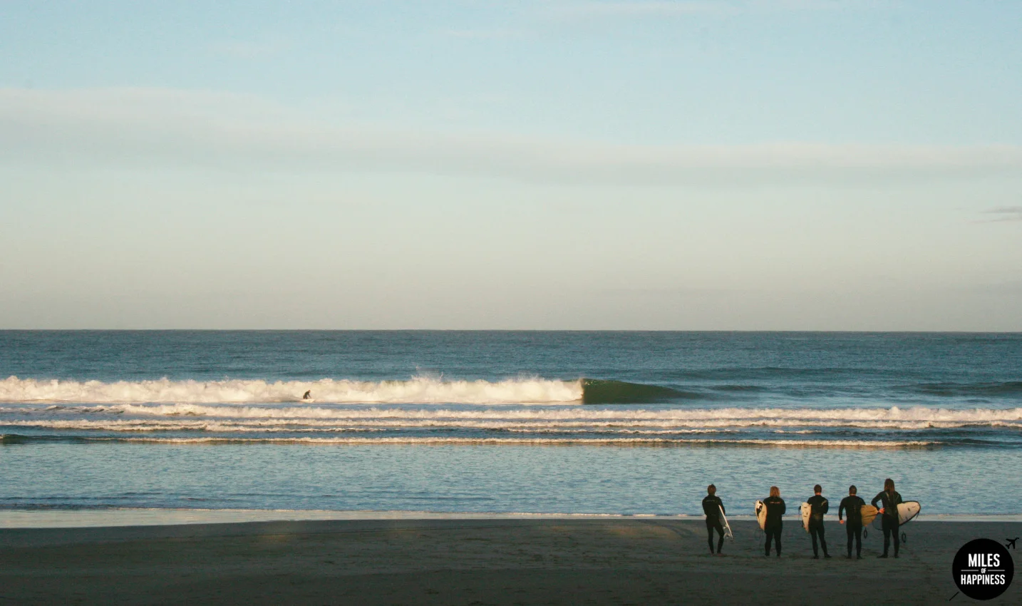 New Zealand : 10 things to do in the Catlins