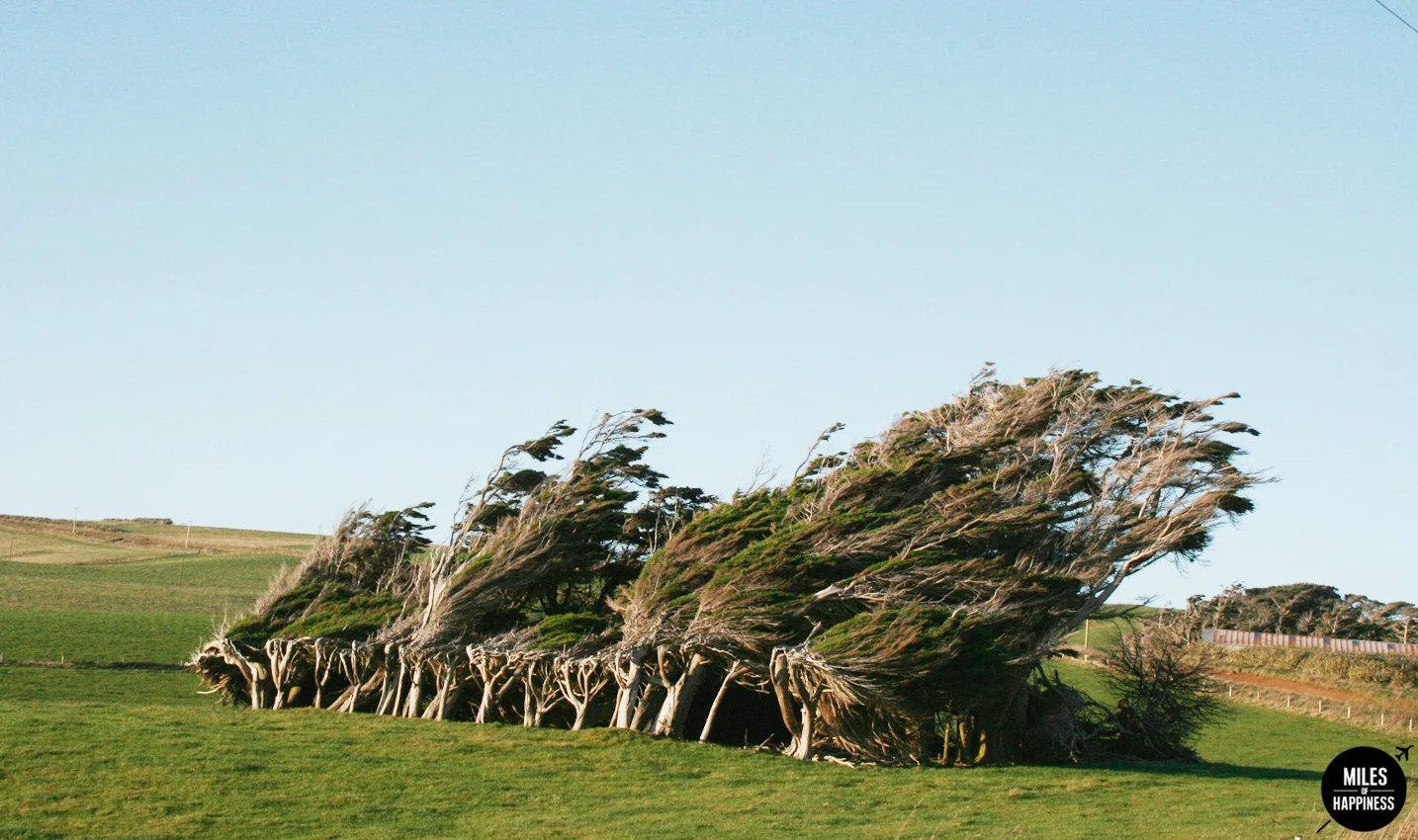 New Zealand : 10 things to do in the Catlins