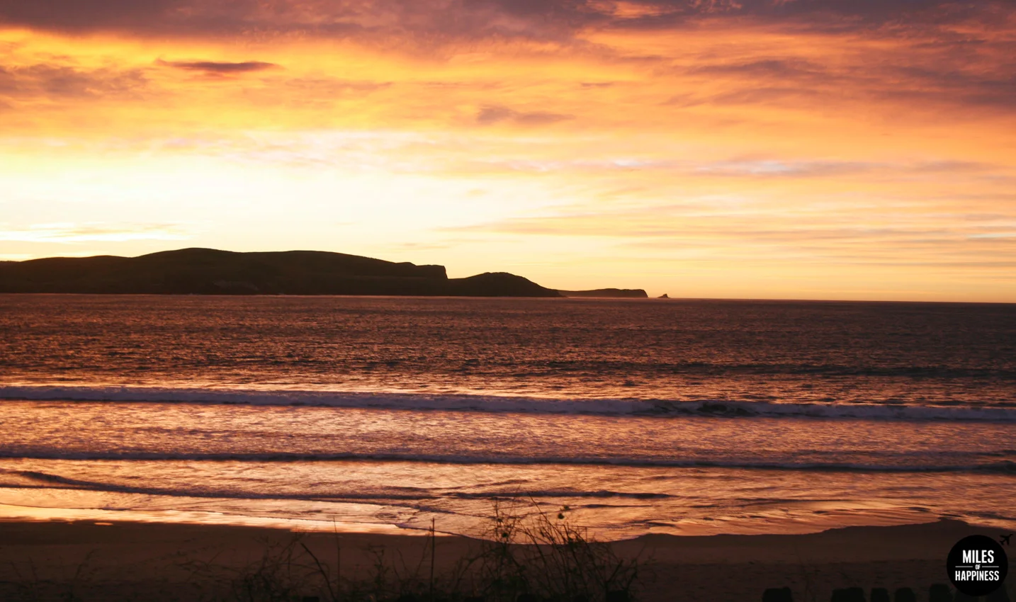 New Zealand : 10 things to do in the Catlins