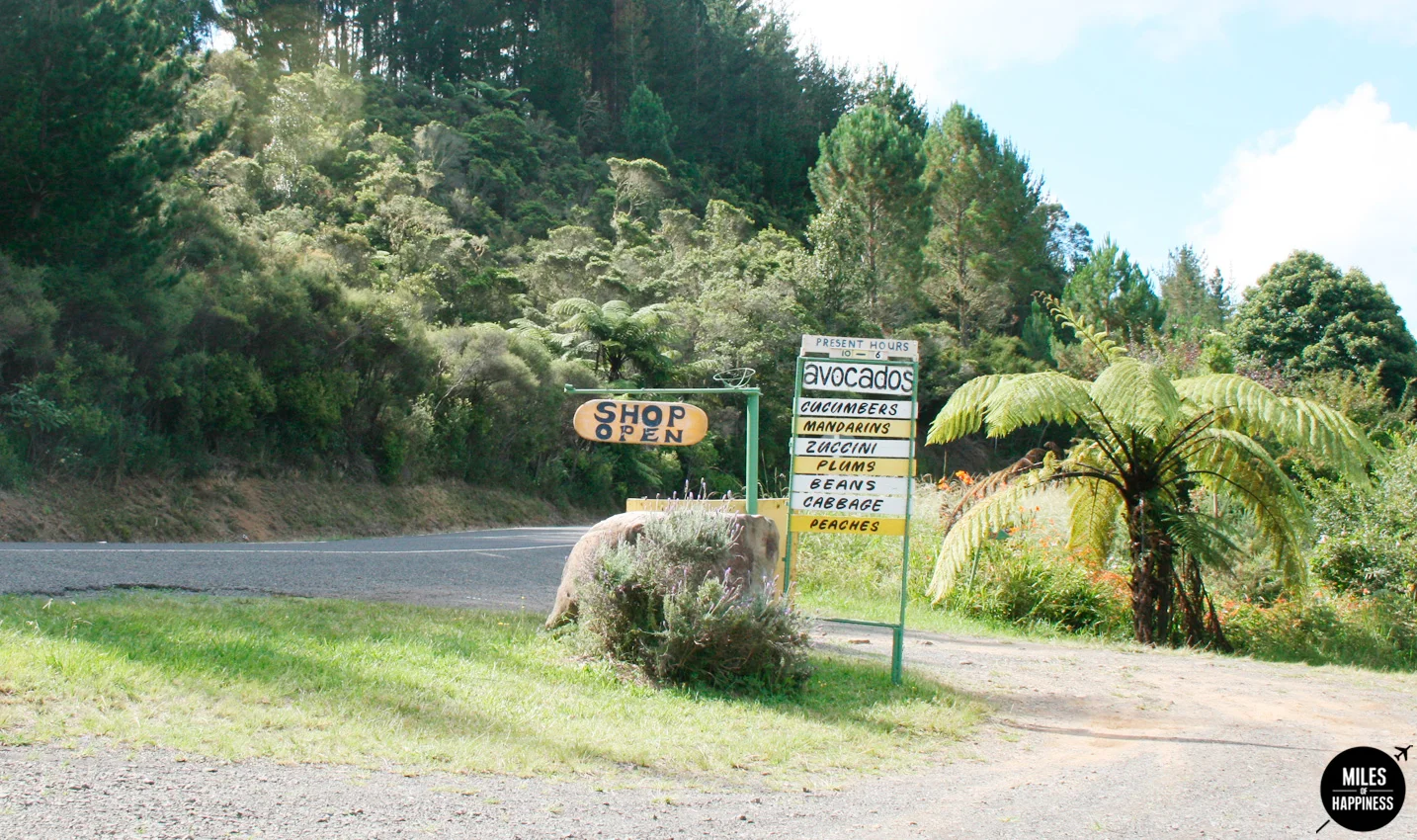 New Zealand: Itinerary of a road trip in the Coromandel Peninsula