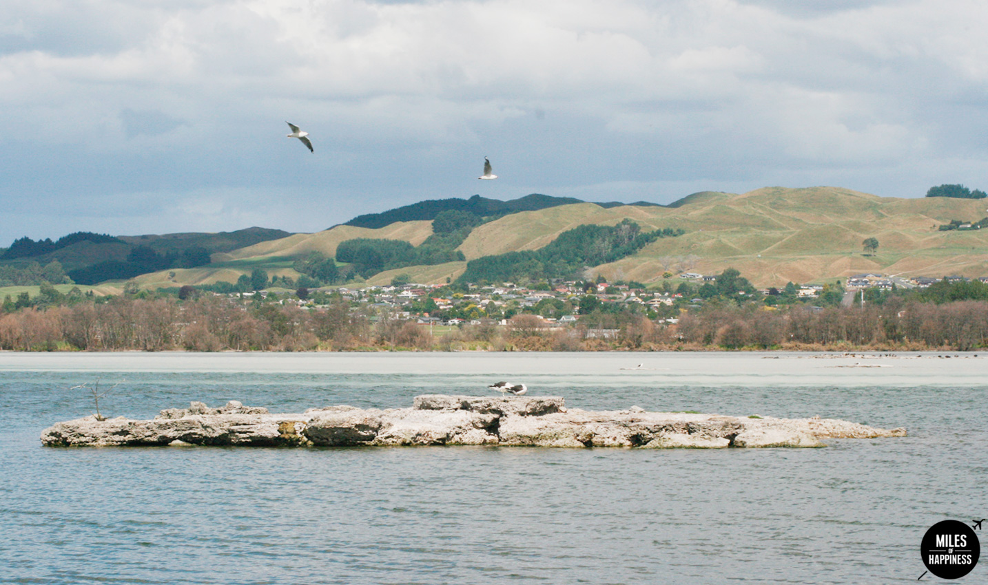 A volcanic wonderland : what to do in Rotorua