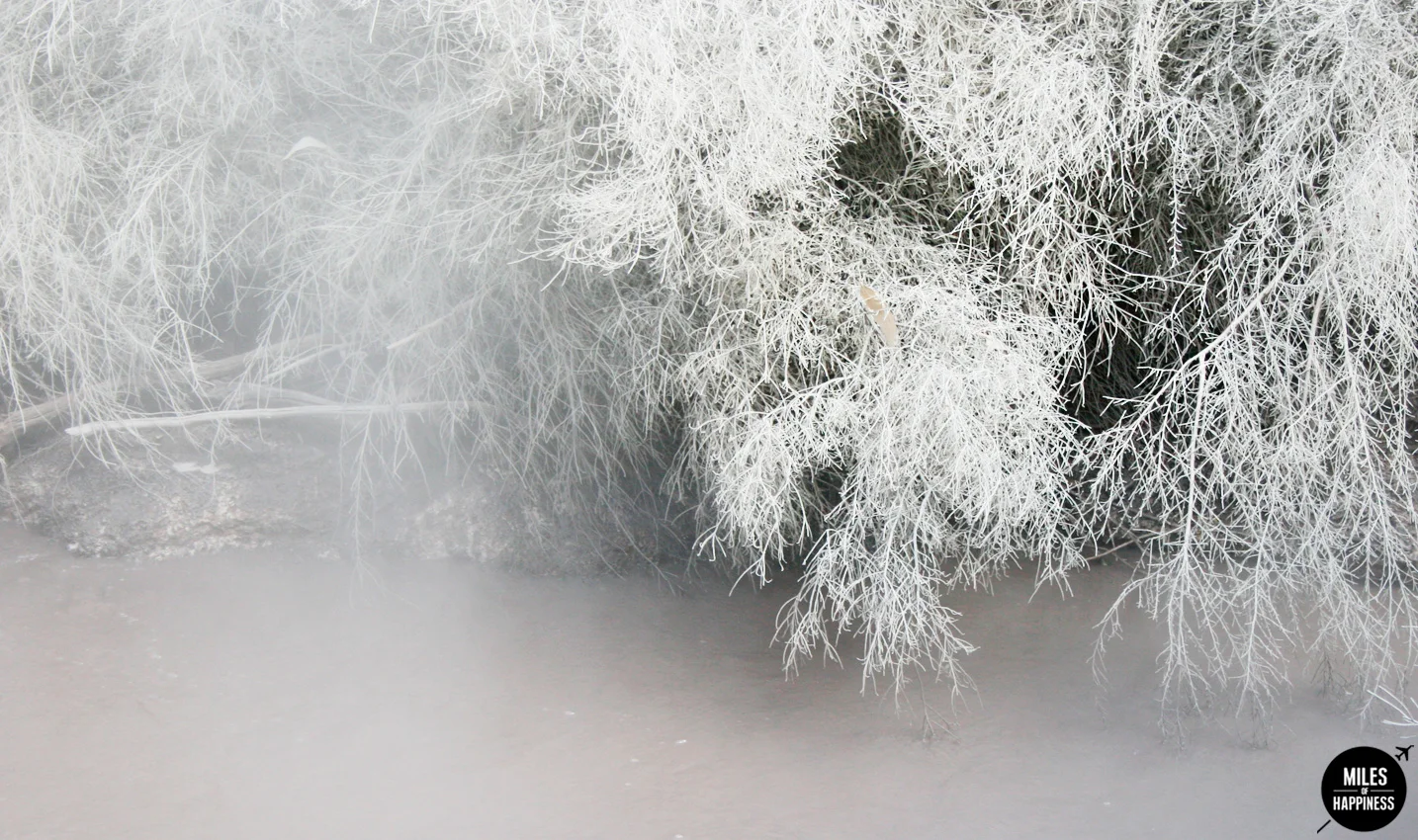 A volcanic wonderland : what to do in Rotorua