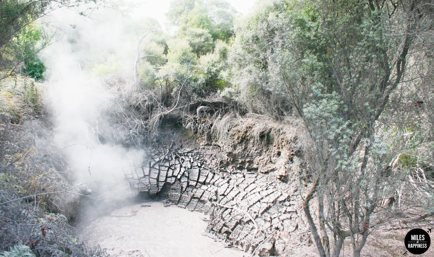 A volcanic wonderland : what to do in Rotorua