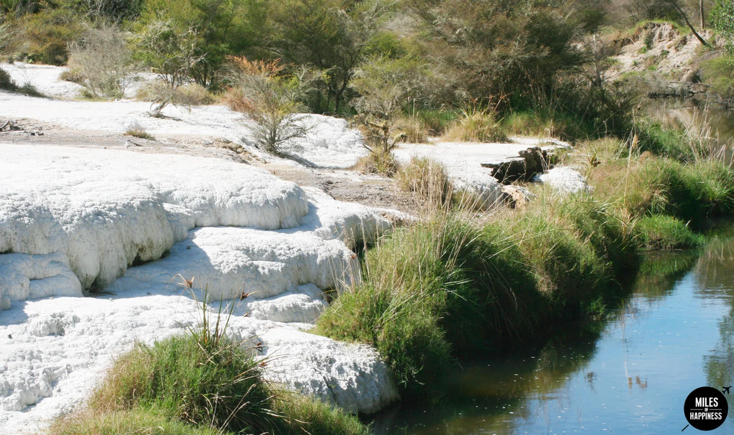 A volcanic wonderland : what to do in Rotorua