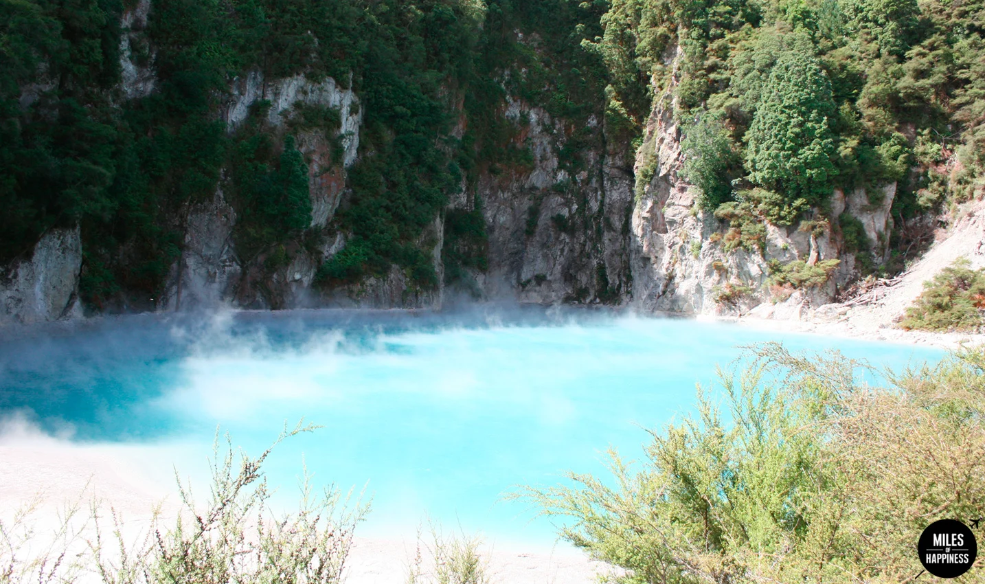 A volcanic wonderland : what to do in Rotorua