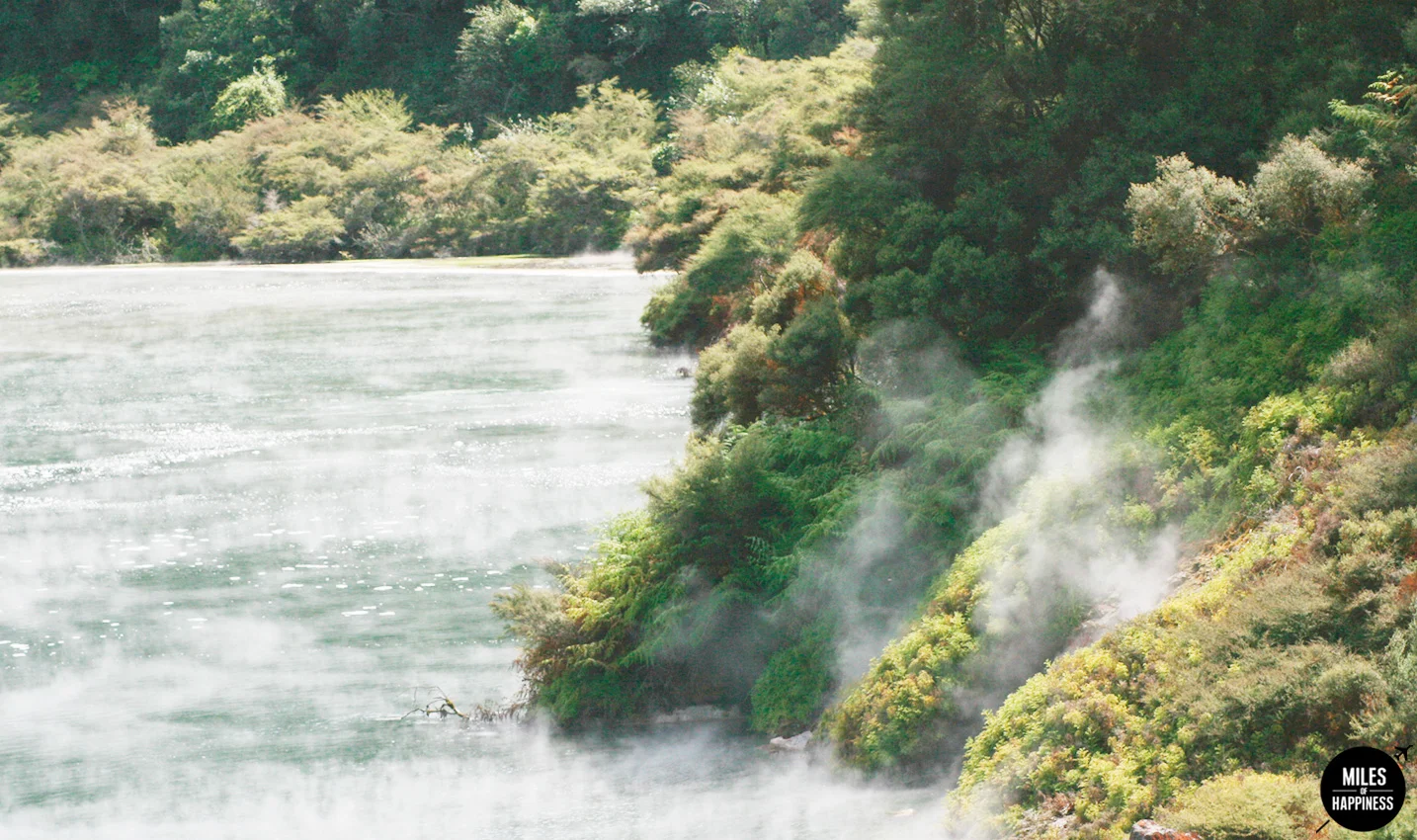 A volcanic wonderland : what to do in Rotorua