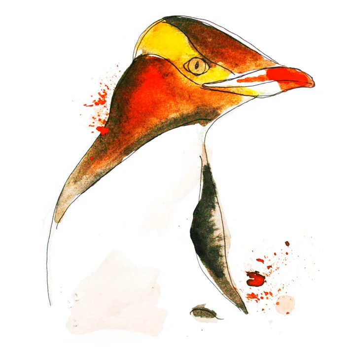 New Zealand: 10 Things to do in the Catlins