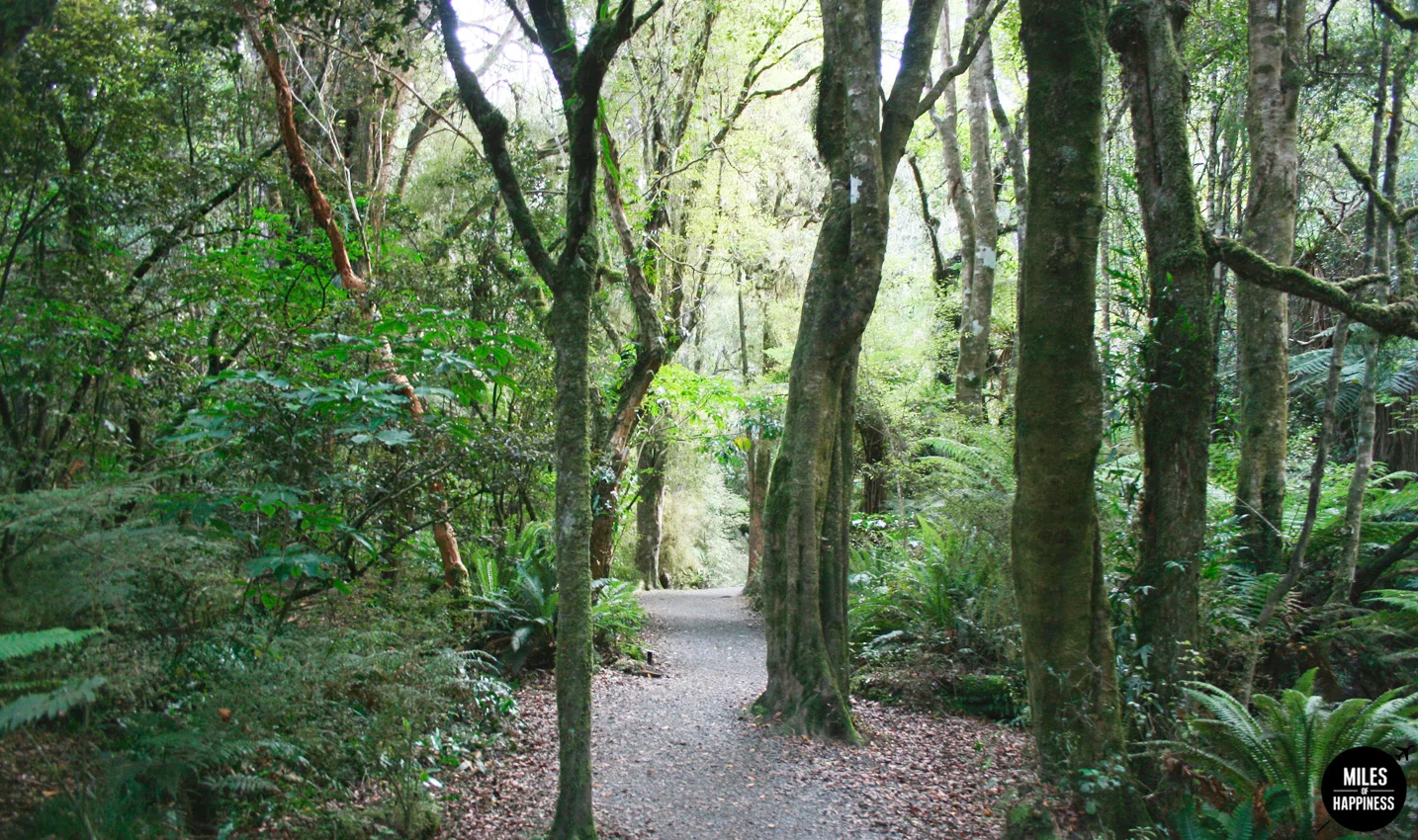 New Zealand: 10 things to do in the Catlins