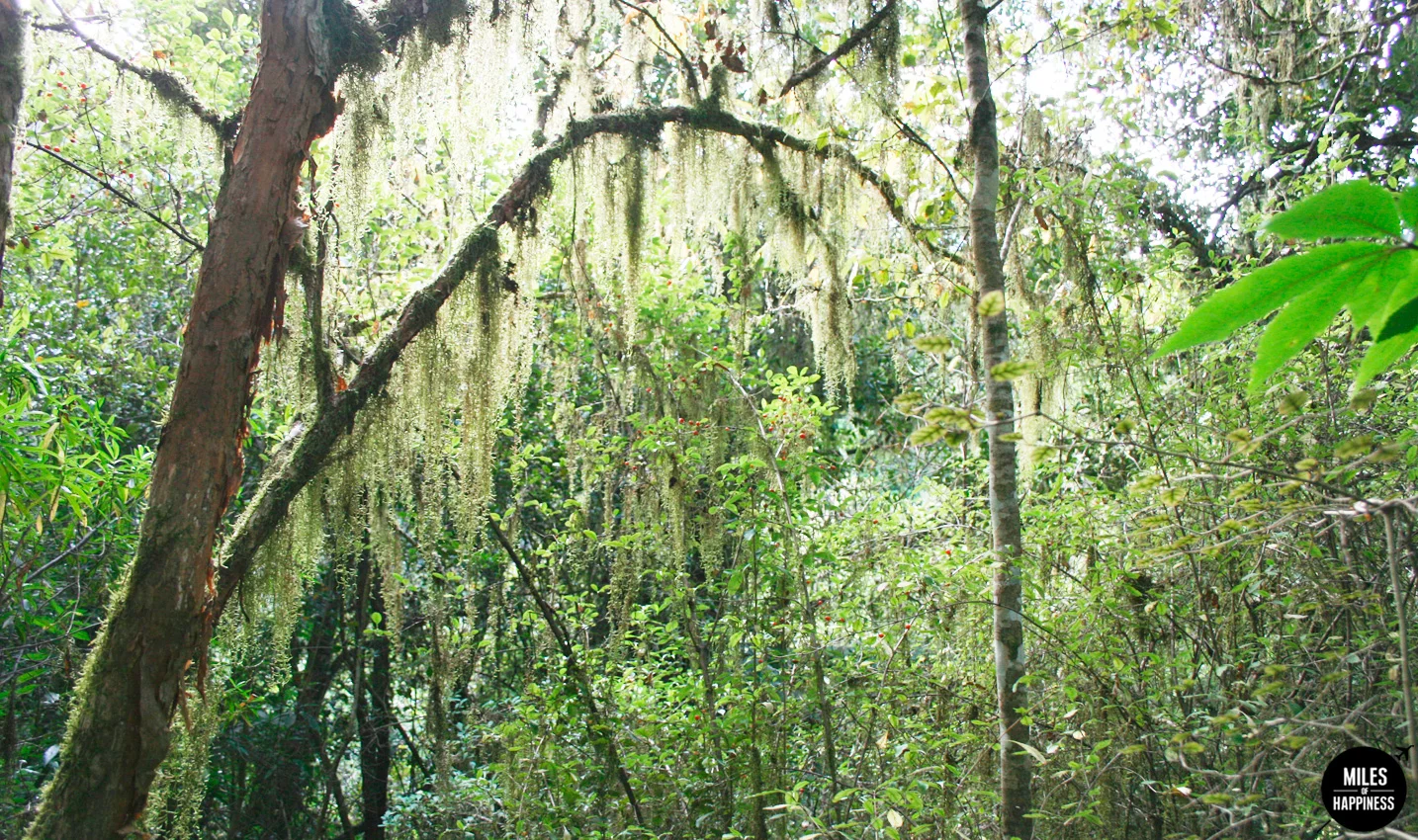 New Zealand: 10 things to do in the Catlins