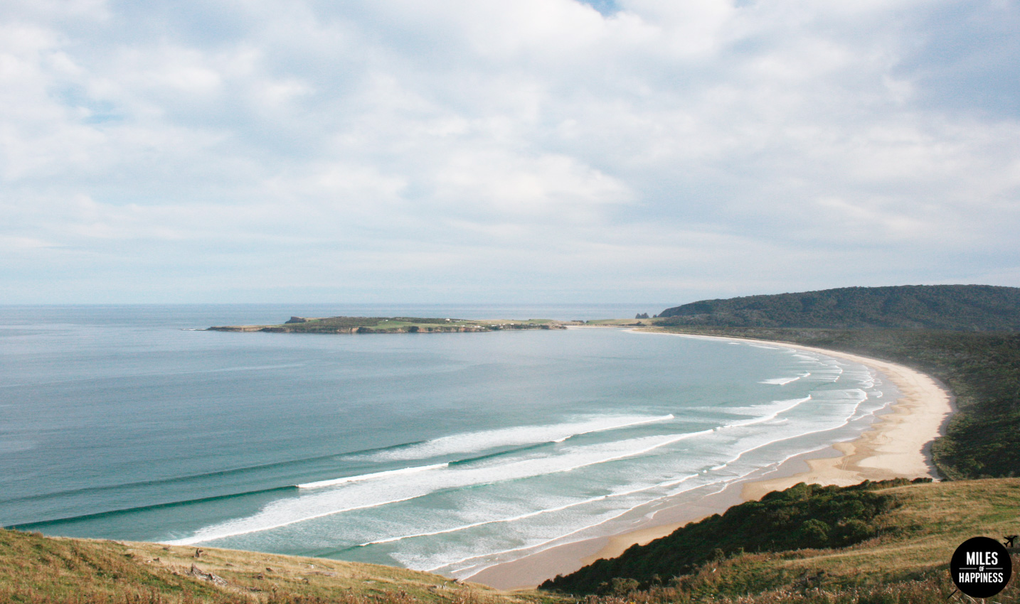 New Zealand: 10 things to do in the Catlins