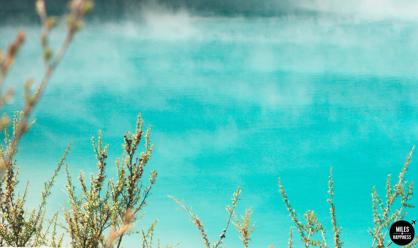 A volcanic wonderland : what to do in Rotorua