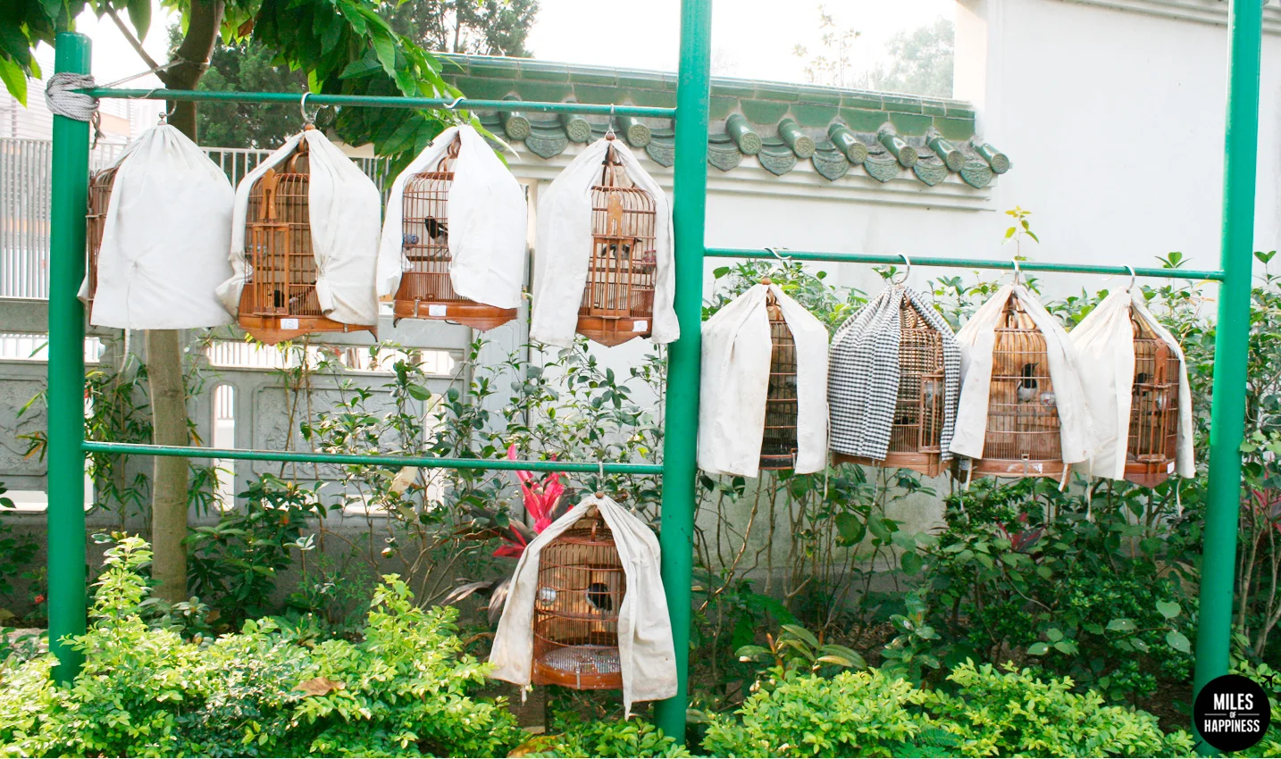 One week in Hong Kong : Itinerary