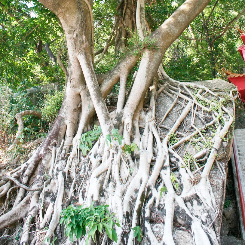 One week in Hong Kong : Itinerary