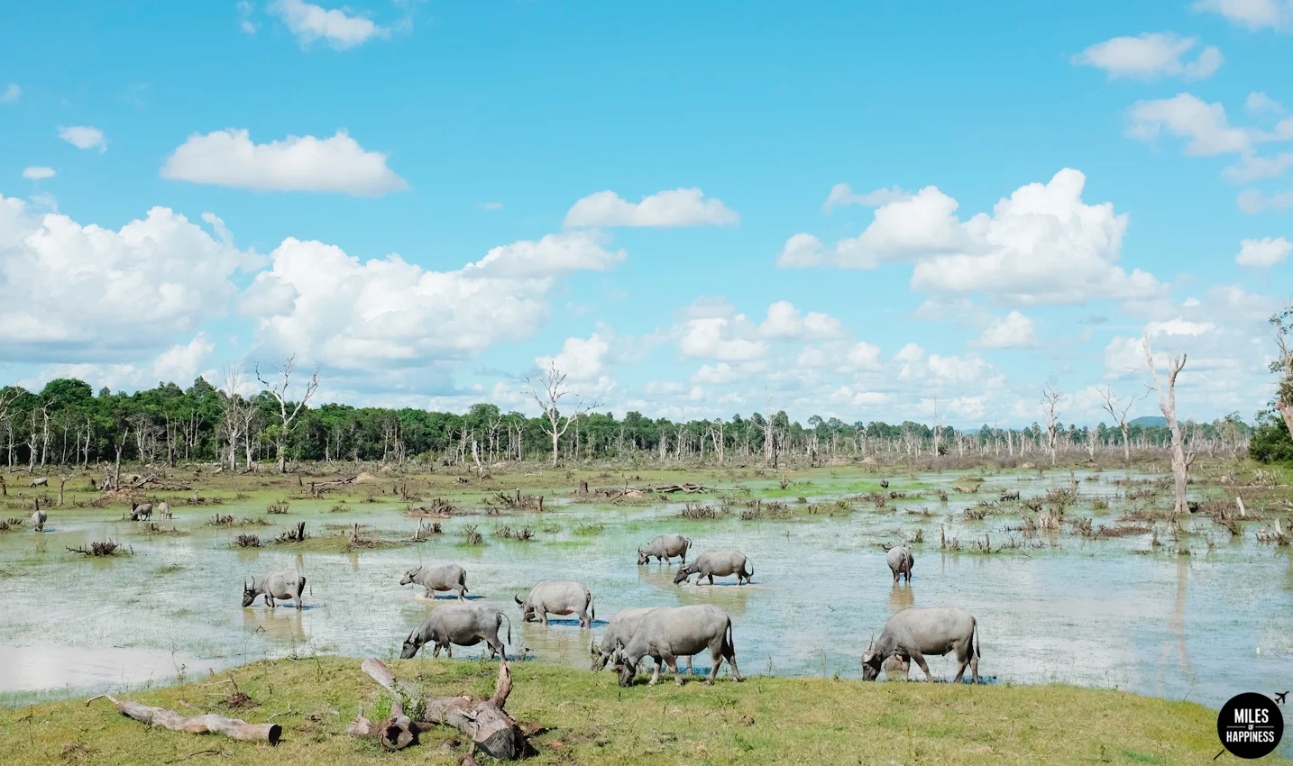 Itinerary of a 4 days trip in Cambodia : Neak Pean