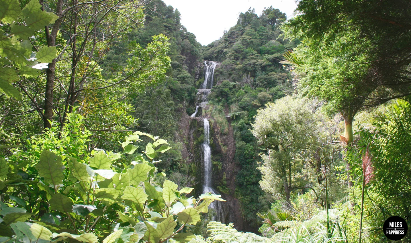 10 Things to do in Auckland region : Piha falls