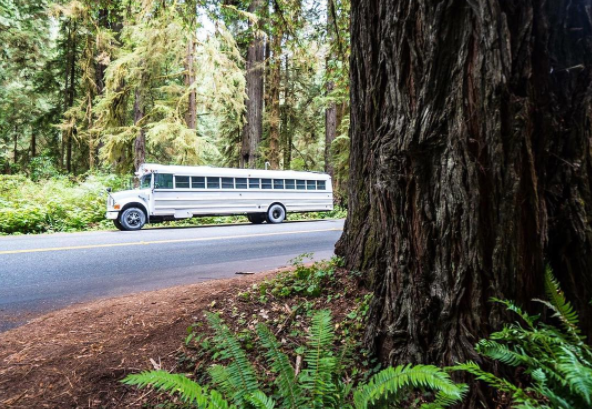 Expedition Happiness : Traveling from Alaska to Argentina... on the coolest bus!