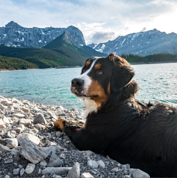 Expedition Happiness : Traveling from Alaska to Argentina... on the coolest bus!