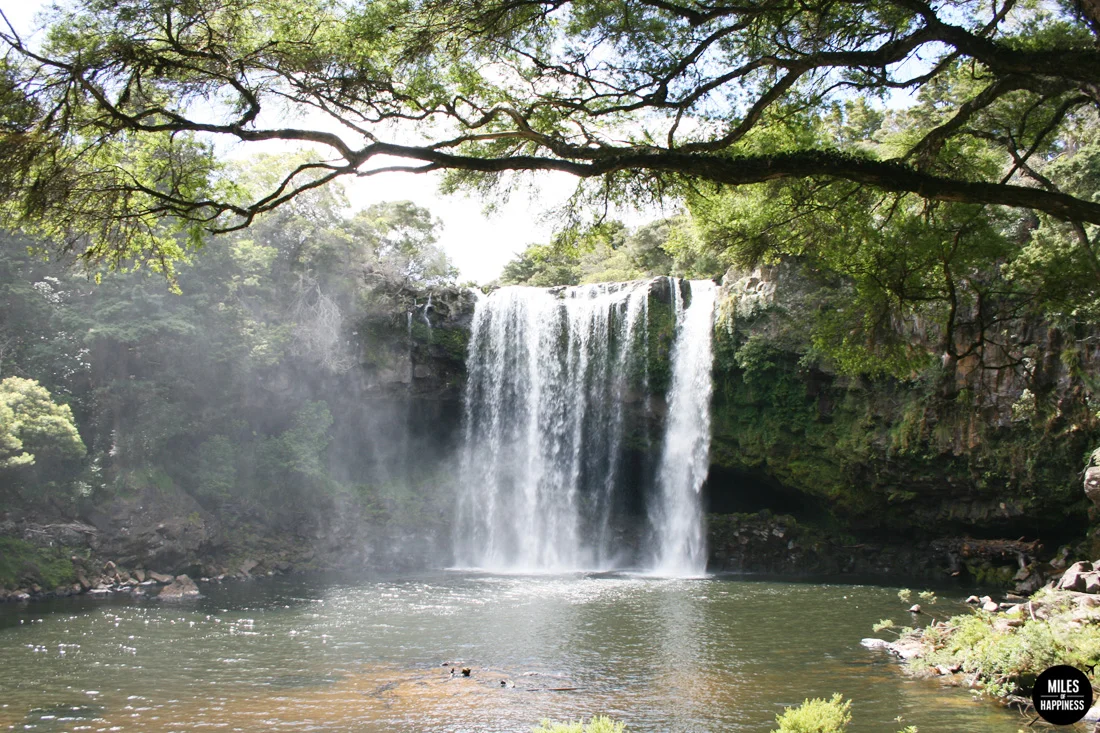 Heading North in New Zealand: Itinerary of a road trip from Bay of Islands to Cape Reinga