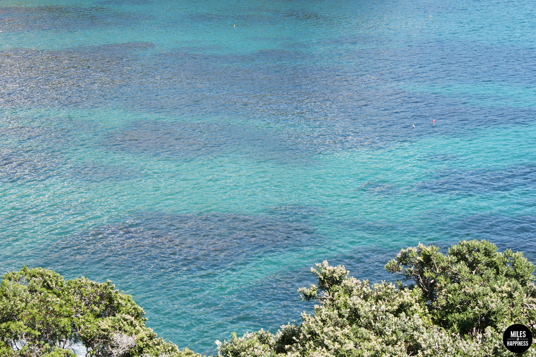 Heading North in New Zealand: Itinerary of a road trip from Bay of Islands to Cape Reinga