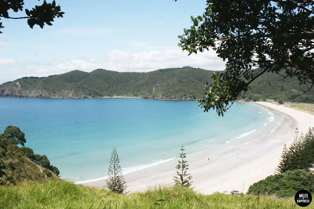 Heading North in New Zealand: Itinerary of a road trip from Bay of Islands to Cape Reinga