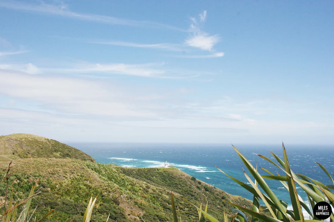 Heading North in New Zealand: Itinerary of a road trip from Bay of Islands to Cape Reinga