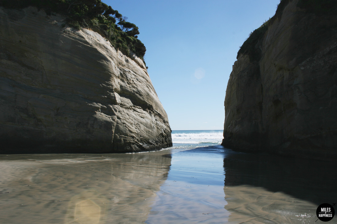 A road trip in Nelson Tasman Region, New Zealand