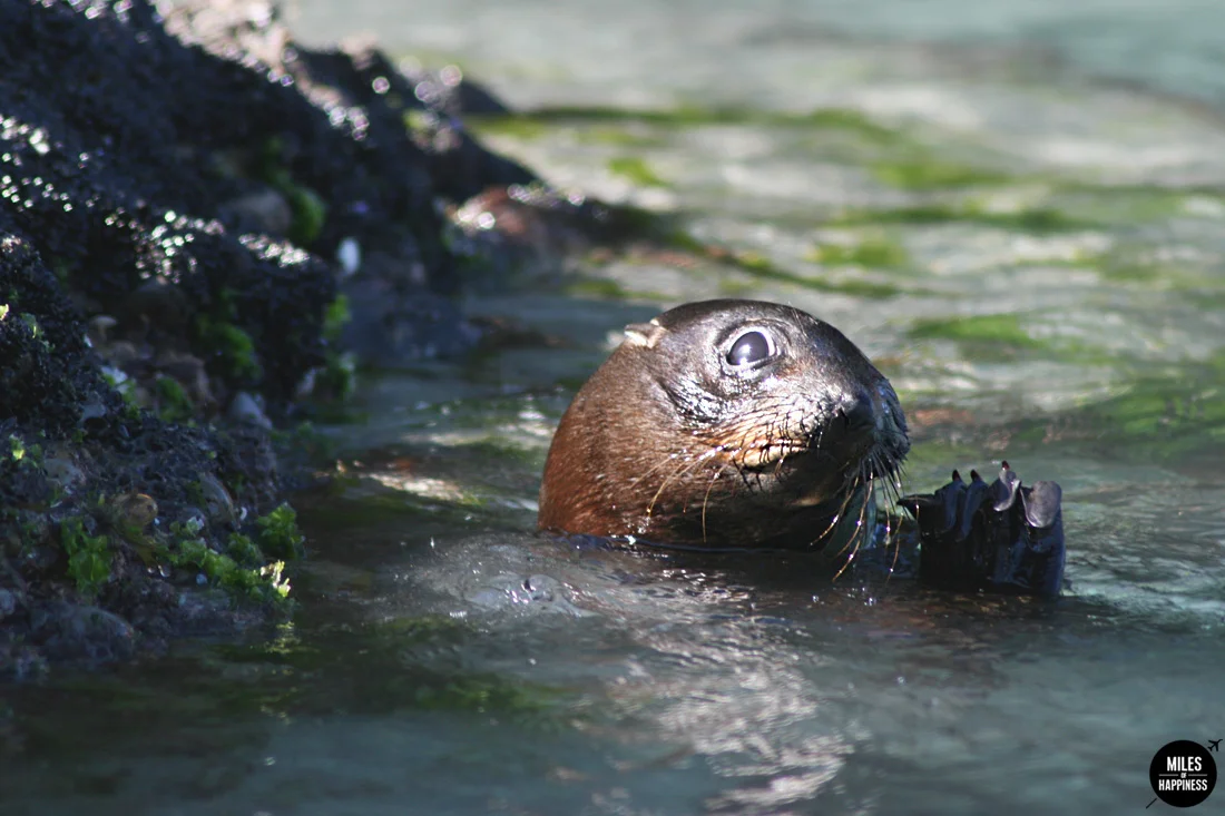 A road trip in Nelson Tasman Region, New Zealand