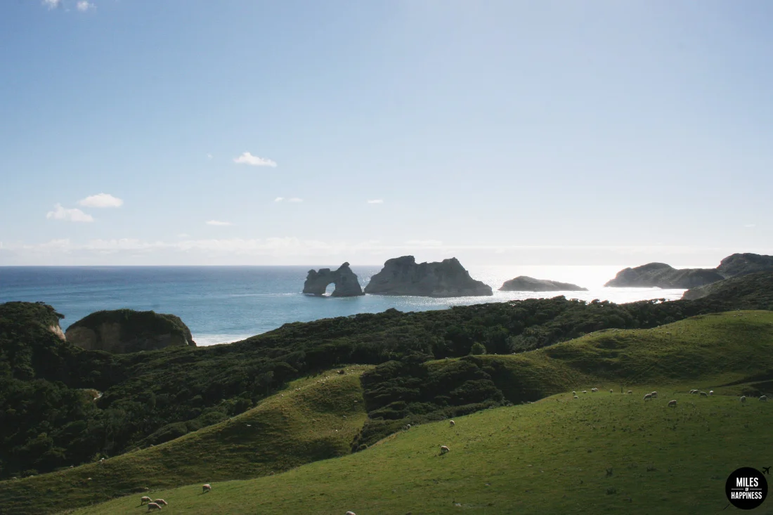 A road trip in Nelson Tasman Region, New Zealand
