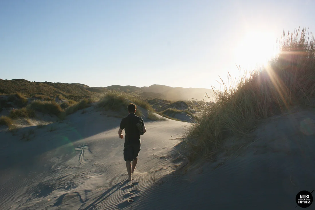 A road trip in Nelson Tasman Region, New Zealand
