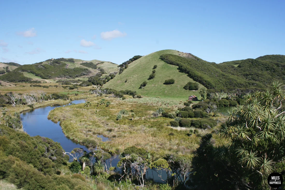 A road trip in Nelson Tasman Region, New Zealand
