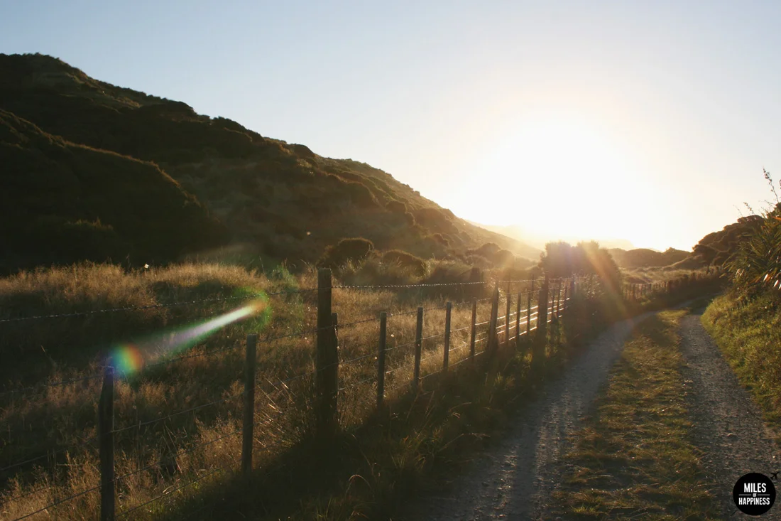 A road trip in Nelson Tasman Region, New Zealand