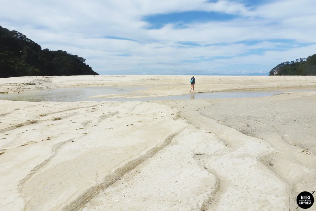 A road trip in Nelson Tasman Region, New Zealand
