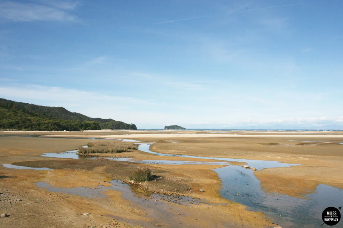 A road trip in Nelson Tasman Region, New Zealand