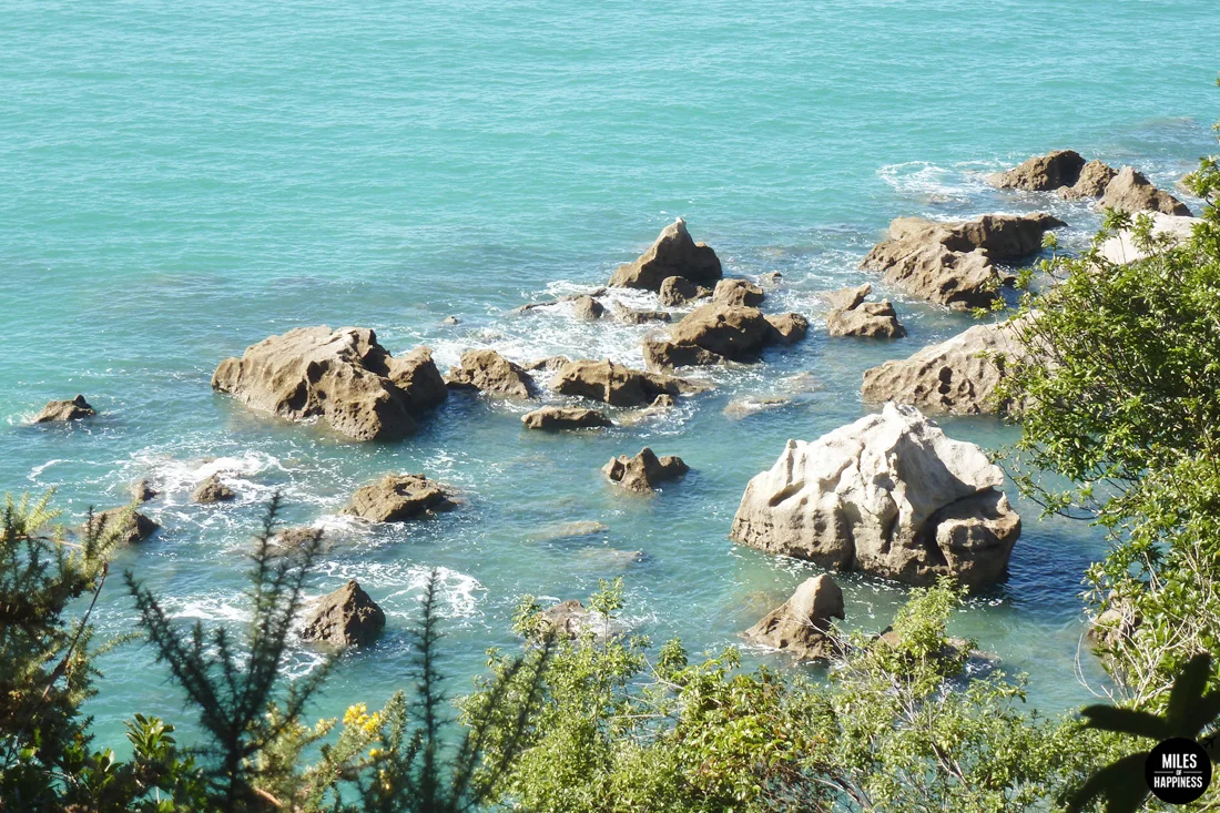 A road trip in Nelson Tasman Region, New Zealand