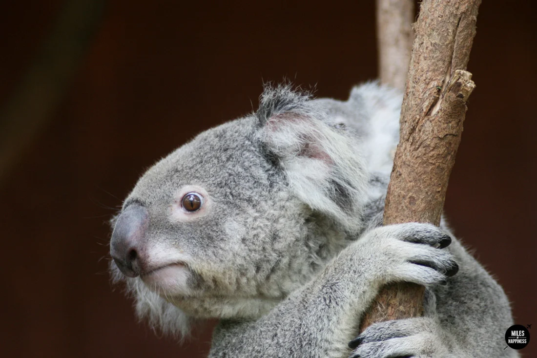 10 things to do on Australia's East Coast