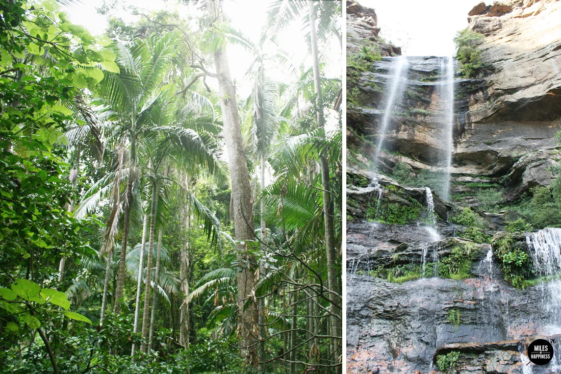 10 things to do on Australia's East Coast