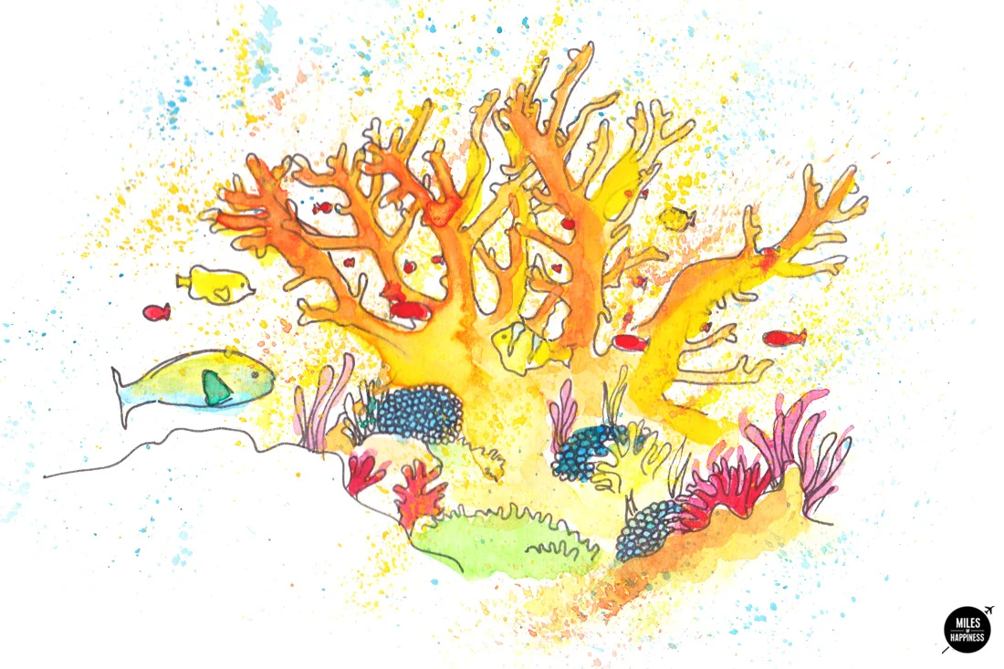 10 things to do on Australia's East Coast