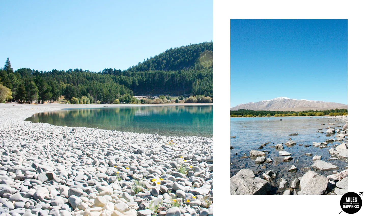 Lake Tekapo & Mt Cook : Story of a Perfect Day in New Zealand
