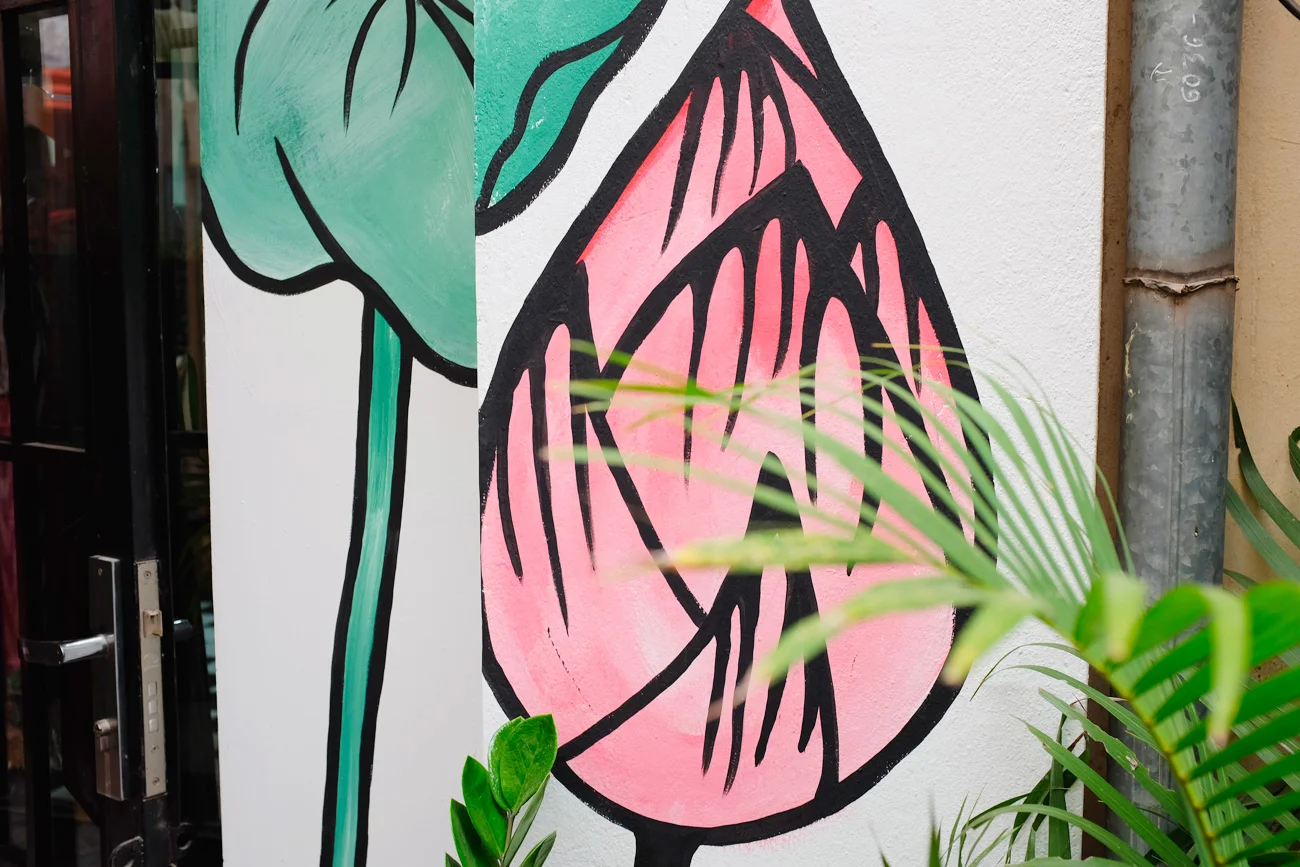 Travel in Cambodia : Quick Guide to Siem Reap