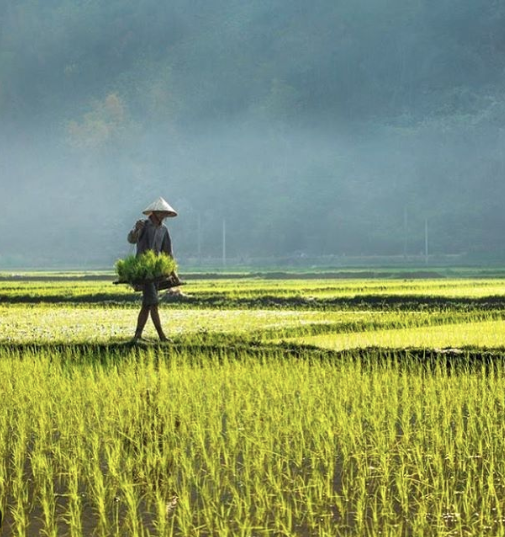 10 Instagrammers who will inspire you to travel to Vietnam