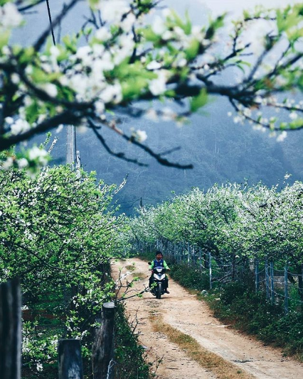 10 Instagrammers who will inspire you to travel to Vietnam