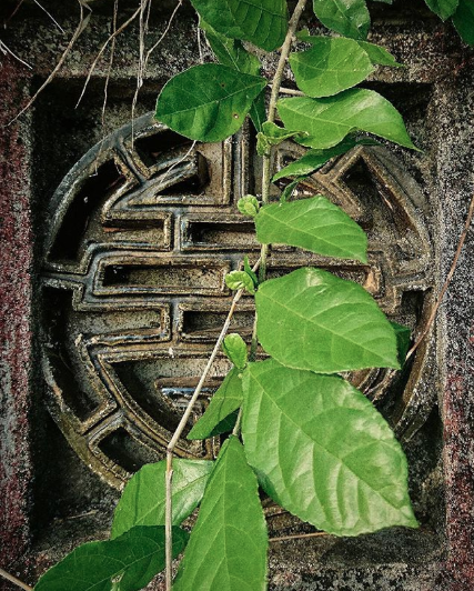 10 Instagrammers who will inspire you to travel to Vietnam