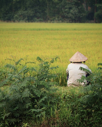 10 Instagrammers who will inspire you to travel to Vietnam