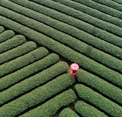 10 Instagrammers who will inspire you to travel to Vietnam