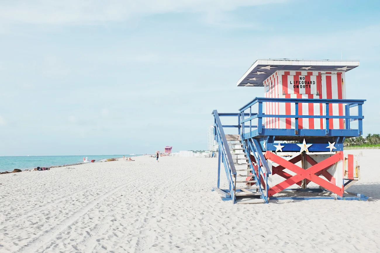 10 Things that will make you LOVE Miami !