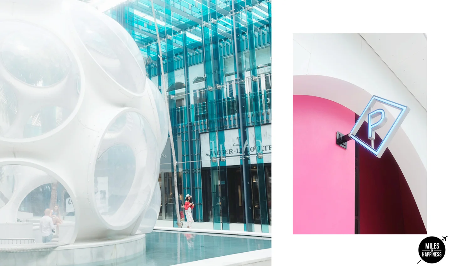 10 things that will make you LOVE Miami !